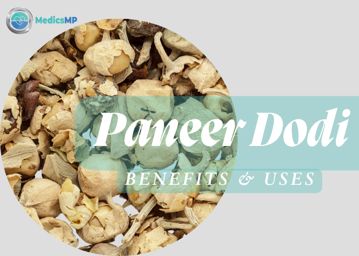 Paneer Dodi | Benefits & Uses